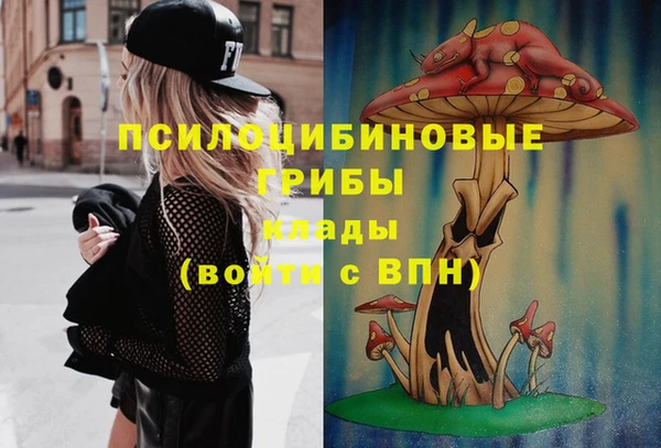 мескалин Гусев