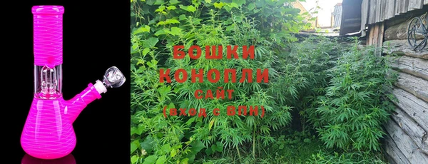 эйфоретик Гусиноозёрск