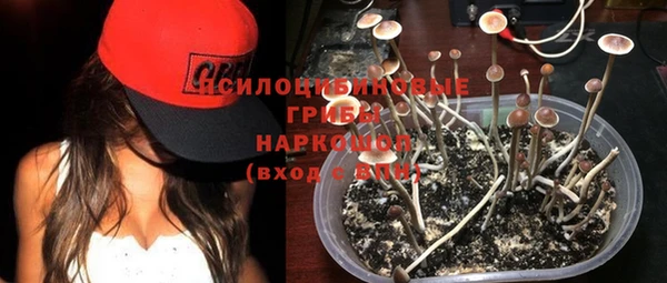 мескалин Гусев