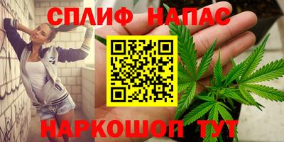каннабис Новозыбков