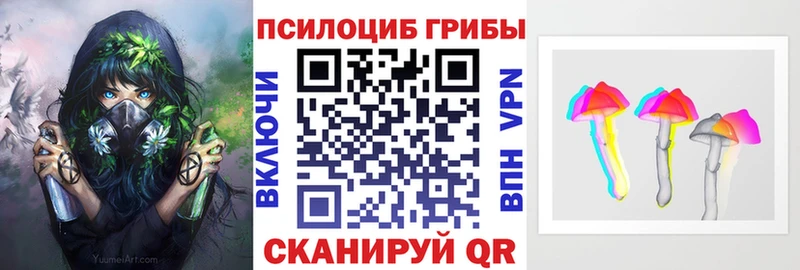 Псилоцибиновые грибы MAGIC MUSHROOMS хочу Славгород