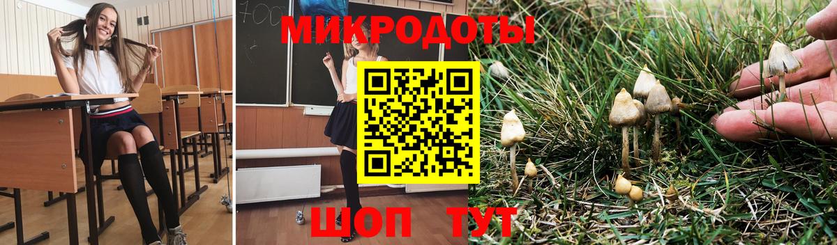 Галлюциногенные грибы прущие грибы  Вход с VPN  Славгород  Галлюциногенные грибы MAGIC MUSHROOMS 