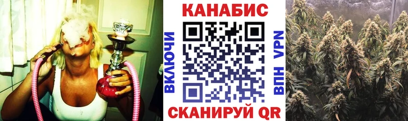 МАРИХУАНА SATIVA & INDICA  где можно купить наркотик  Славгород 
