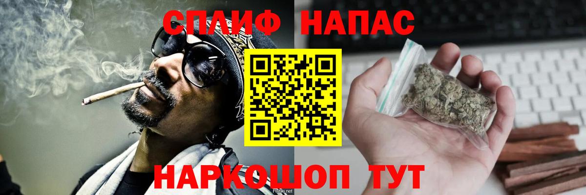 Псилоцибиновые грибы Славгород